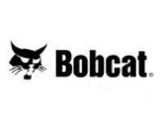 Bobcat